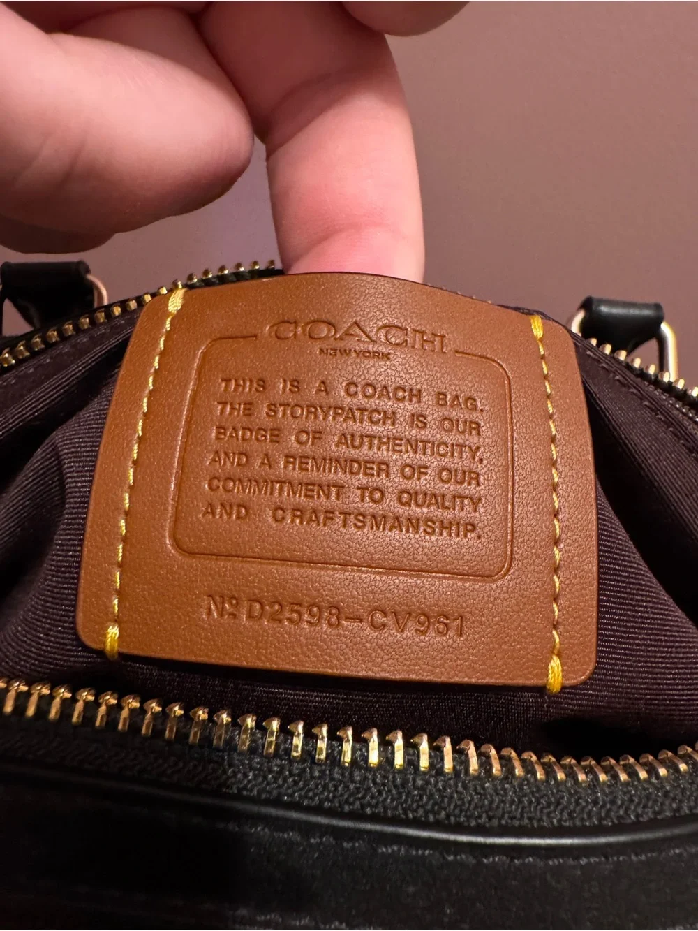 Coach Regular Rowan in Dark Brown/Black